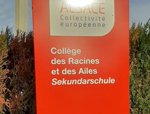 Z1_drulingen_CLG_racines-ailes_ENTREE